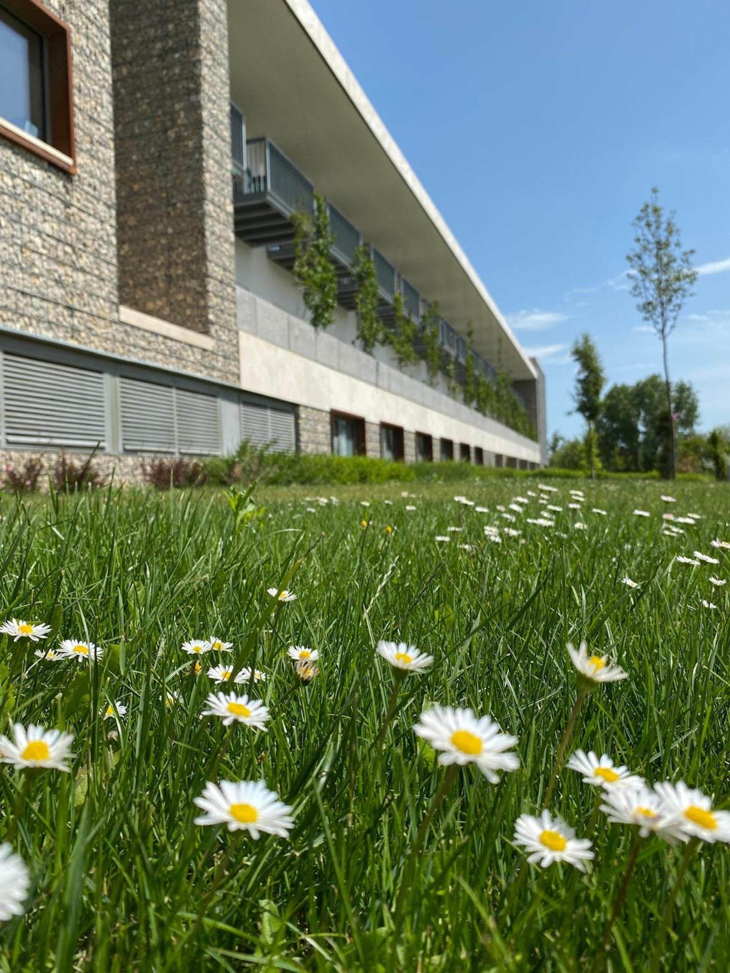 Akademia Hotel Balatonfüred Exterior foto